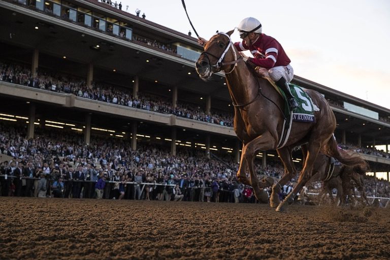 Najslávnejší dostihový míting v USA – Breeders´Cup Najslávnejší dostihový míting v USA – Breeders´Cup
