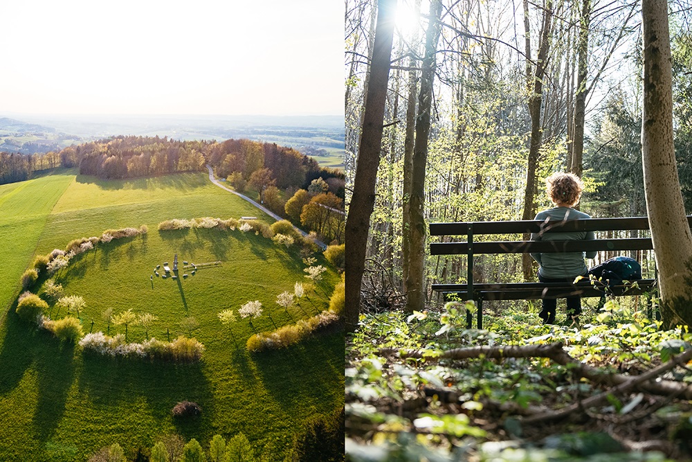 Ovocné stromy ako svedkovia času (c) Niederösterreich Werbung/ Daniel Gollner